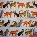 999.177 Cats - 3-ply - Marque Deposee 2008 - Clouet
